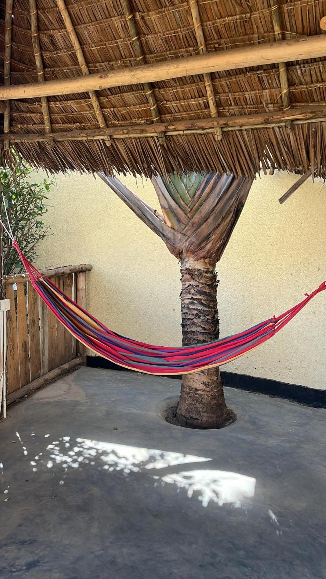 Bed and Breakfast Stasumo House Arusha Exteriér fotografie
